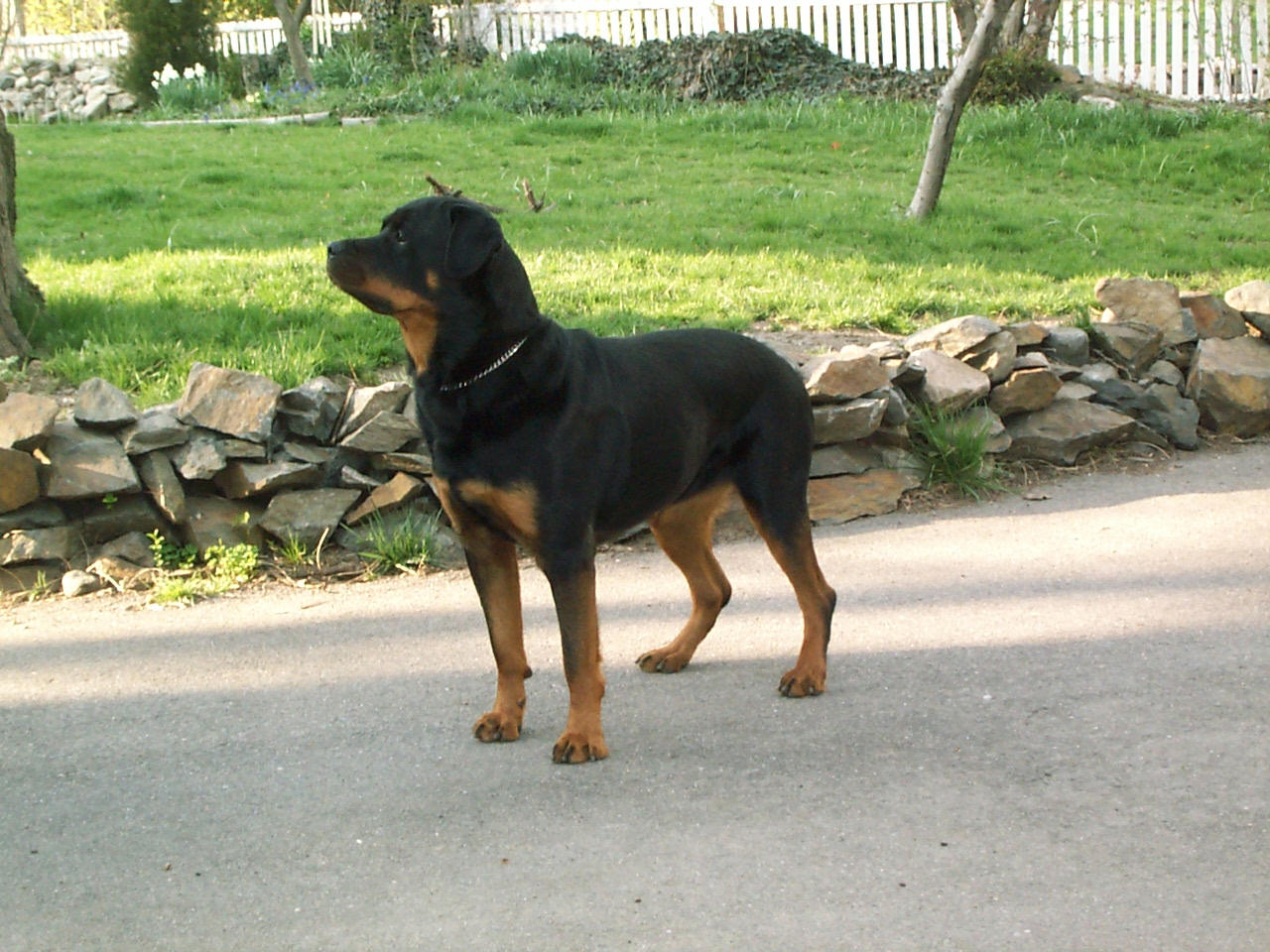 bestxena.jpg