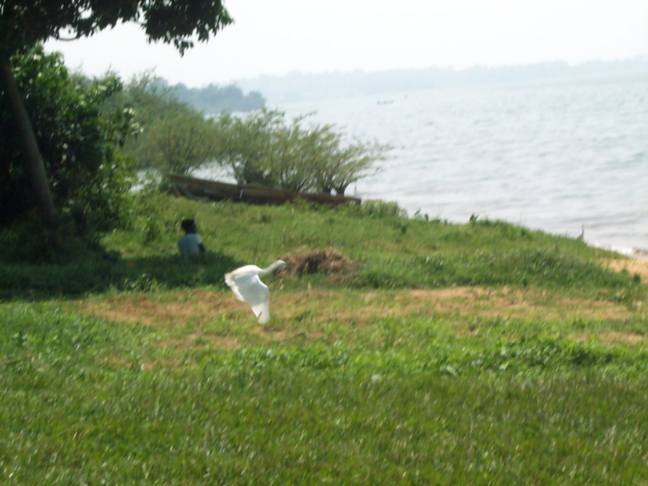 focus_camp_075.jpg