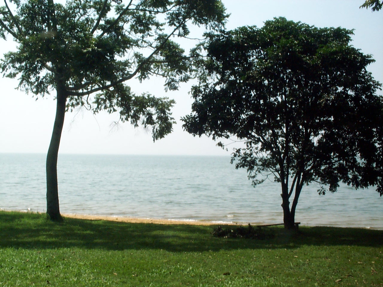focus_camp_085.jpg