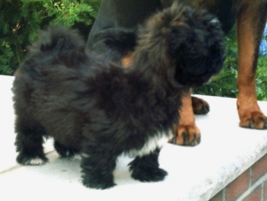 lucyandxena.jpg