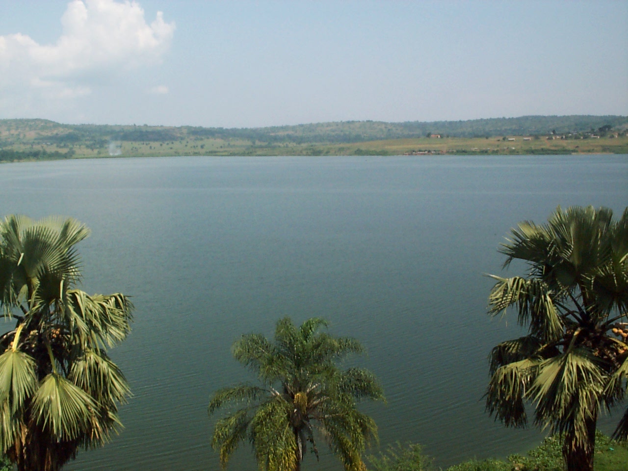 nile_02.jpg